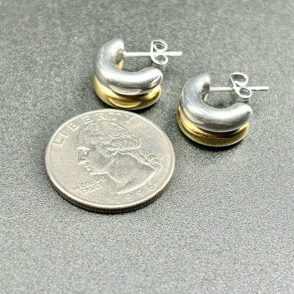 Stainless Steel Elegant Silver and Gold Huggie Hoop Earrings - Picture 4 of 4